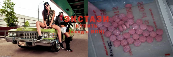 гашик Алексин