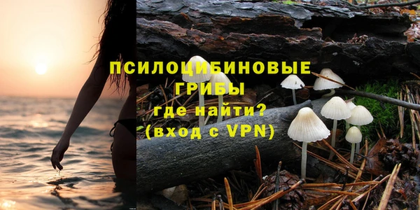 прущие грибы Алзамай