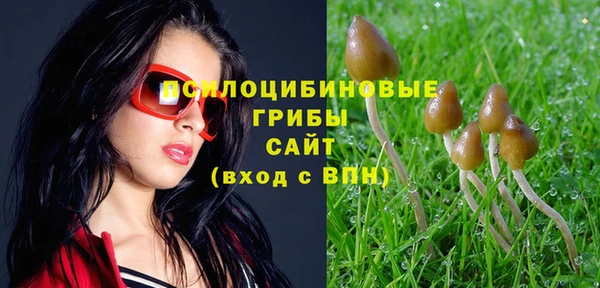 бошки Алексеевка