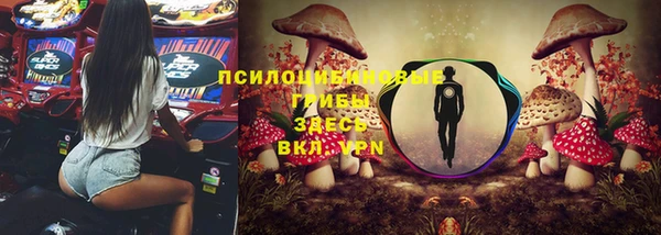 ГАЛЛЮЦИНОГЕННЫЕ ГРИБЫ Аркадак