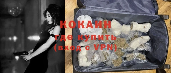 гашик Алексин
