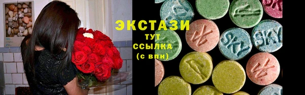 гашик Алексин
