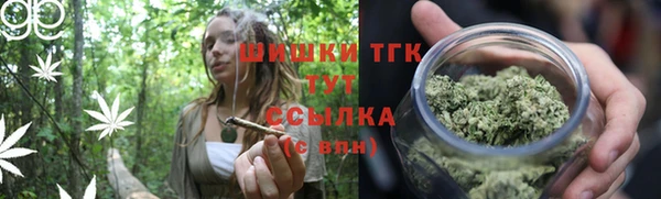 прущие грибы Алзамай