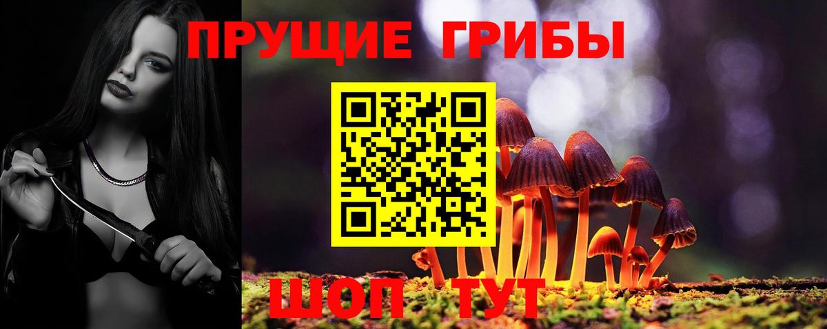 Галлюциногенные грибы MAGIC MUSHROOMS  Вход с VPN  Глазов 